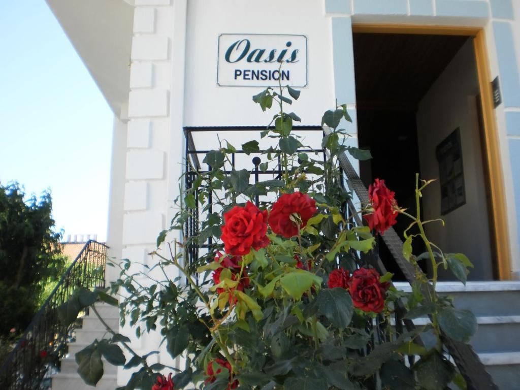 Hotel Oasis Parga Exterior foto